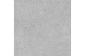 BIOPHILIC GREY 60X60